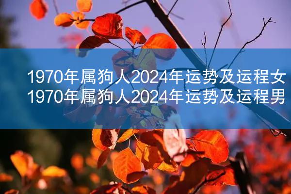 1970年属狗人2024年运势及运程女 1970年属狗人2024年运势及运程男