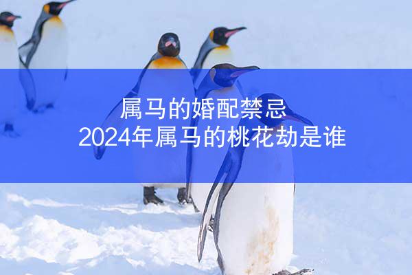 属马的婚配禁忌 2024年属马的桃花劫是谁