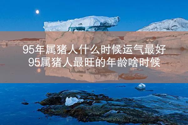 95年属猪人什么时候运气最好 95属猪人最旺的年龄啥时候