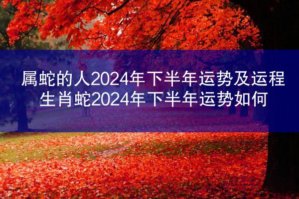 属蛇的人2024年下半年运势及运程 生肖蛇2024年下半年运势如何