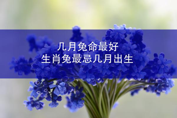 几月兔命最好 生肖兔最忌几月出生