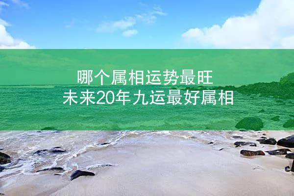 哪个属相运势最旺 未来20年九运最好属相