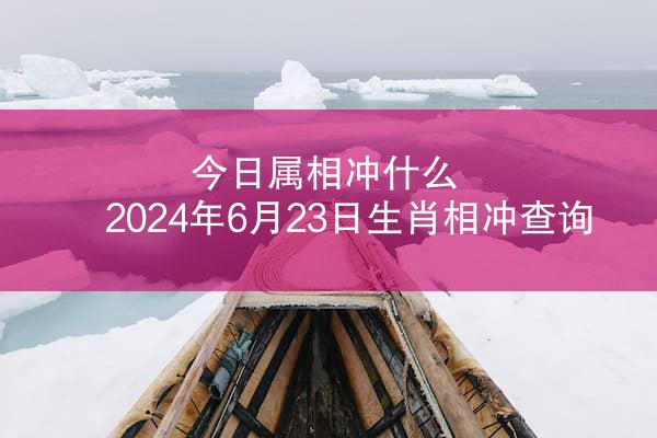 今日属相冲什么 2024年6月23日生肖相冲查询
