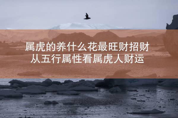 属虎的养什么花最旺财招财 从五行属性看属虎人财运