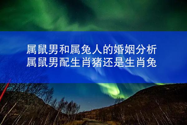 属鼠男和属兔人的婚姻分析 属鼠男配生肖猪还是生肖兔
