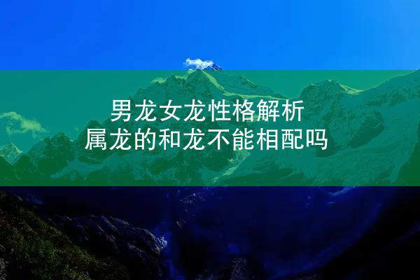 男龙女龙性格解析 属龙的和龙不能相配吗