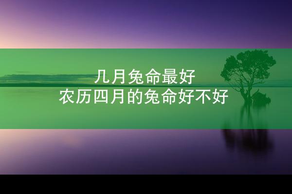几月兔命最好 农历四月的兔命好不好