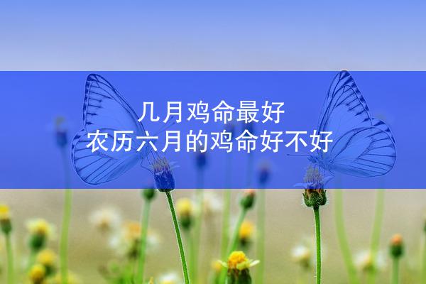 几月鸡命最好 农历六月的鸡命好不好
