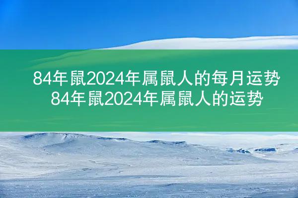 84年鼠2024年属鼠人的每月运势 84年鼠2024年属鼠人的运势