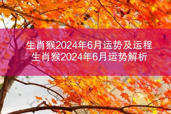 生肖猴2024年6月运势及运程 生肖猴2024年6月运势解析
