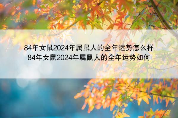 84年女鼠2024年属鼠人的全年运势怎么样 84年女鼠2024年属鼠人的全年运势如何