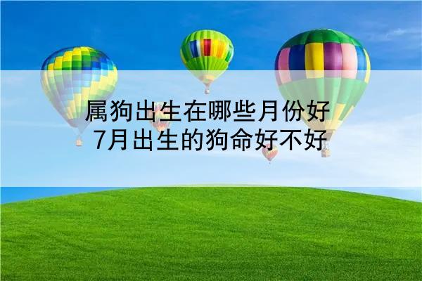 属狗出生在哪些月份好 7月出生的狗命好不好