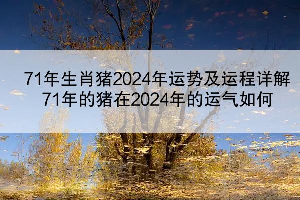 71年生肖猪2024年运势及运程详解 71年的猪在2024年的运气如何