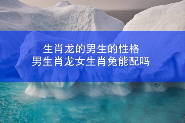 生肖龙的男生的性格 男生肖龙女生肖兔能配吗