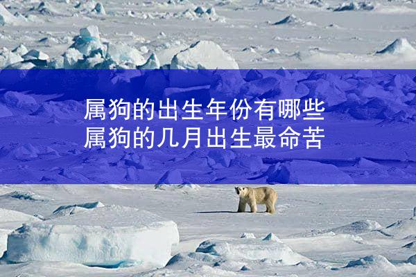 属狗的出生年份有哪些 属狗的几月出生最命苦
