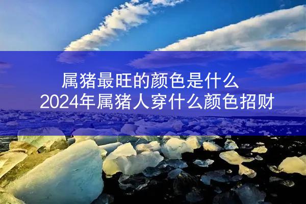 属猪最旺的颜色是什么 2024年属猪人穿什么颜色招财
