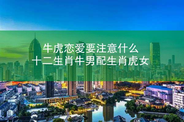 牛虎恋爱要注意什么 十二生肖牛男配生肖虎女