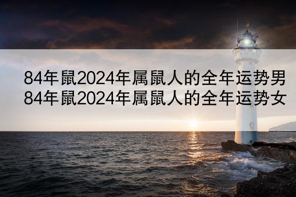 84年鼠2024年属鼠人的全年运势男 84年鼠2024年属鼠人的全年运势女
