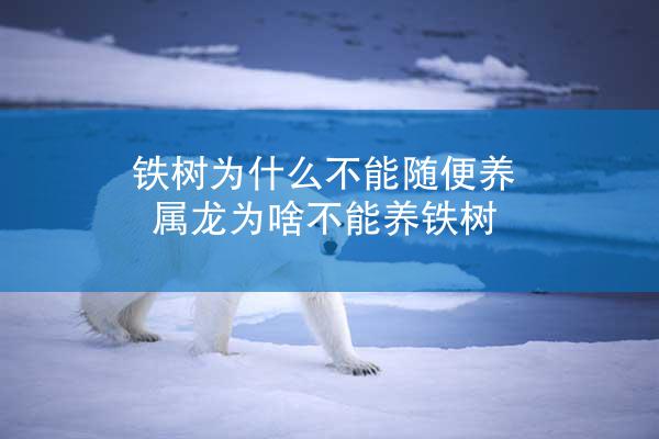 铁树为什么不能随便养 属龙为啥不能养铁树