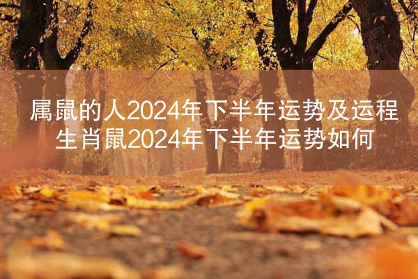 属鼠的人2024年下半年运势及运程 生肖鼠2024年下半年运势如何