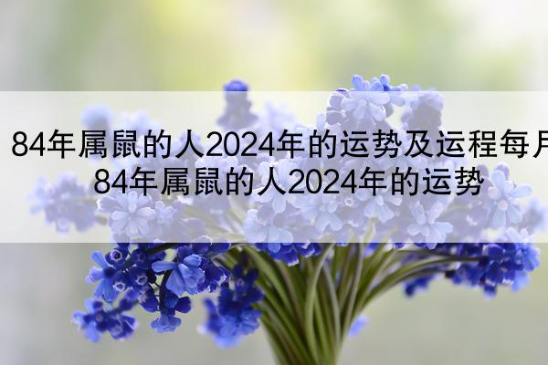 84年属鼠的人2024年的运势及运程每月 84年属鼠的人2024年的运势