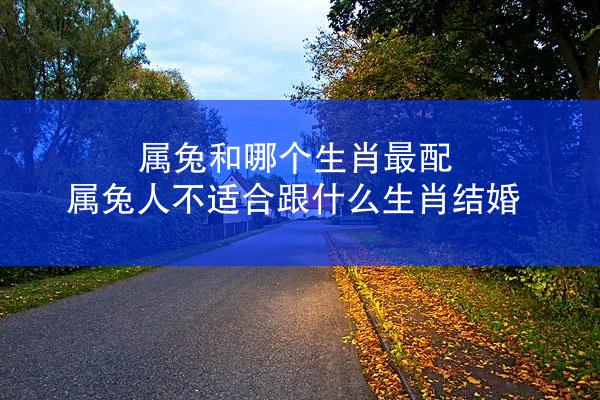 属兔和哪个生肖最配 属兔人不适合跟什么生肖结婚