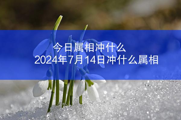 今日属相冲什么 2024年7月14日冲什么属相