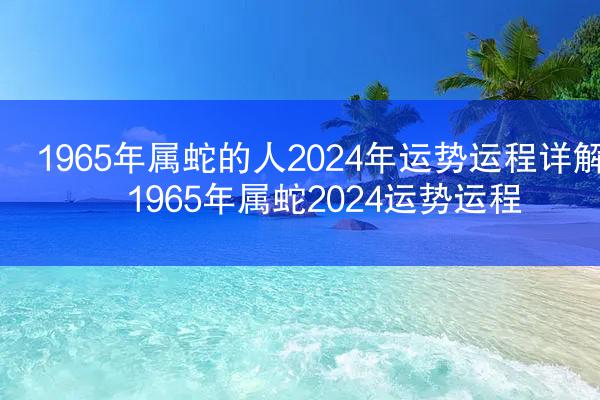 1965年属蛇的人2024年运势运程详解 1965年属蛇2024运势运程