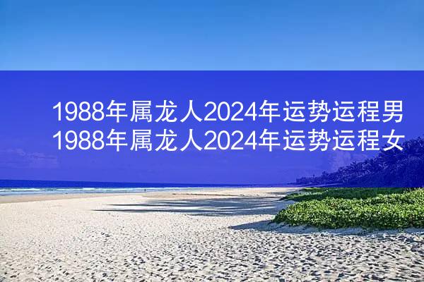 1988年属龙人2024年运势运程男 1988年属龙人2024年运势运程女