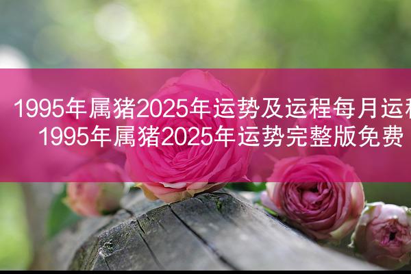 1995年属猪2025年运势及运程每月运程 1995年属猪2025年运势完整版免费