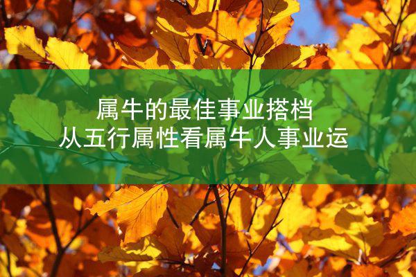 属牛的最佳事业搭档 从五行属性看属牛人事业运