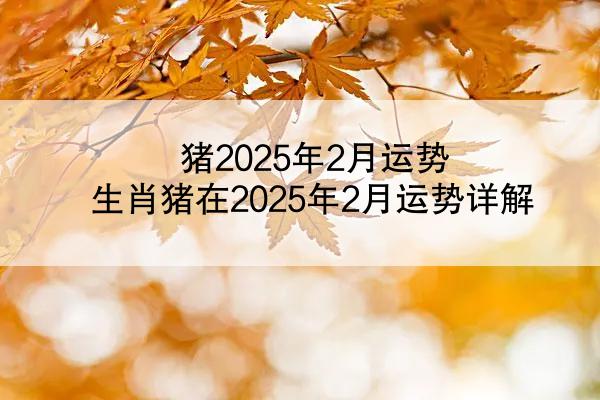 猪2025年2月运势 生肖猪在2025年2月运势详解