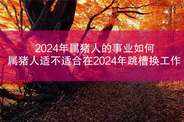 2024年属猪人的事业如何 属猪人适不适合在2024年跳槽换工作