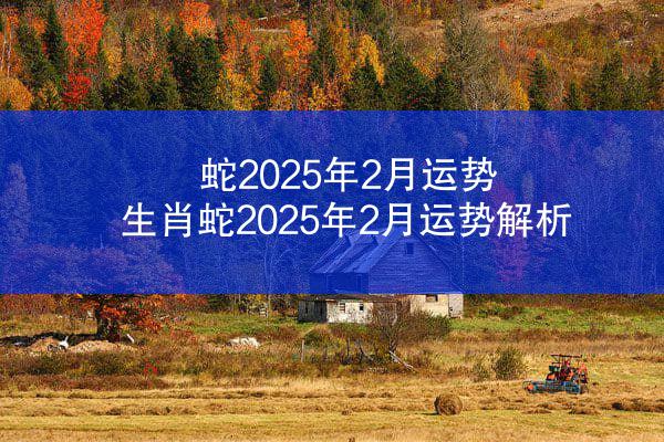 蛇2025年2月运势 生肖蛇2025年2月运势解析