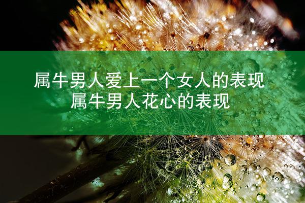 属牛男人爱上一个女人的表现 属牛男人花心的表现