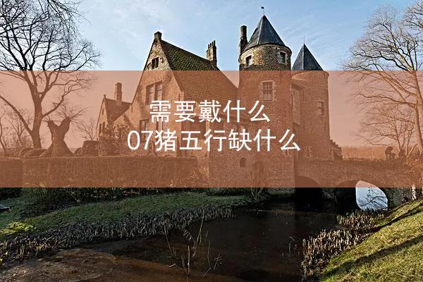 需要戴什么 07猪五行缺什么