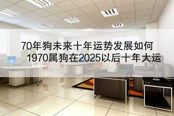 70年狗未来十年运势发展如何 1970属狗在2025以后十年大运
