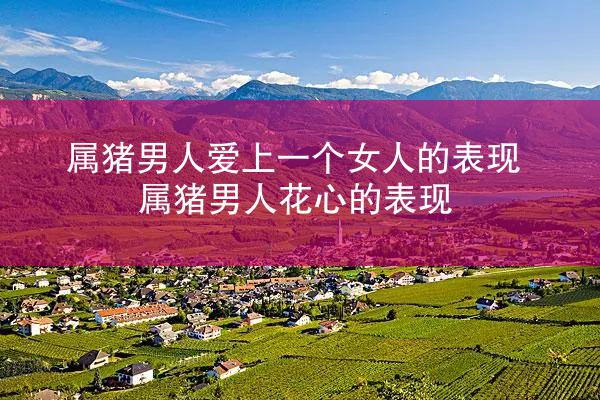属猪男人爱上一个女人的表现 属猪男人花心的表现