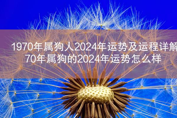 1970年属狗人2024年运势及运程详解 70年属狗的2024年运势怎么样