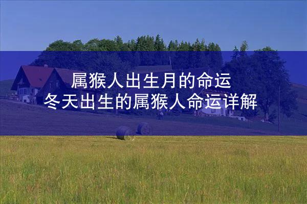 属猴人出生月的命运 冬天出生的属猴人命运详解