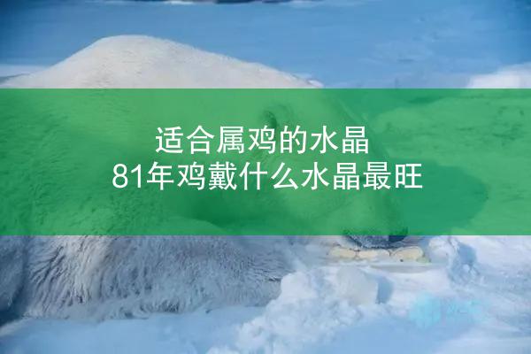 适合属鸡的水晶 81年鸡戴什么水晶最旺