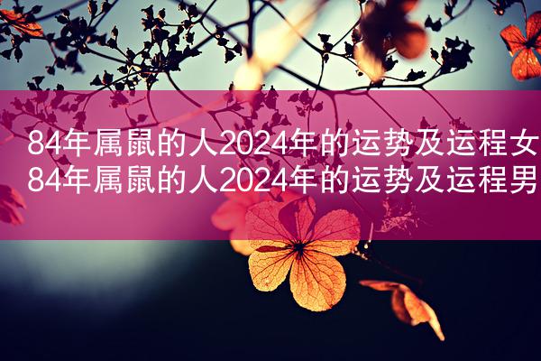 84年属鼠的人2024年的运势及运程女 84年属鼠的人2024年的运势及运程男