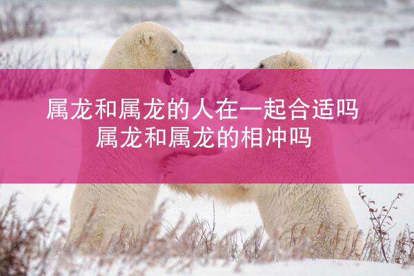 属龙和属龙的人在一起合适吗 属龙和属龙的相冲吗
