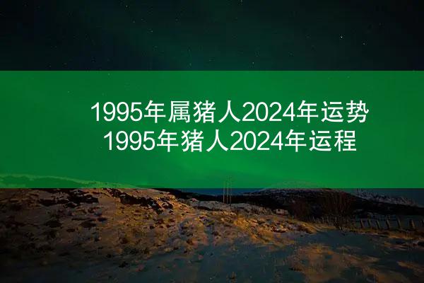 1995年属猪人2024年运势 1995年猪人2024年运程