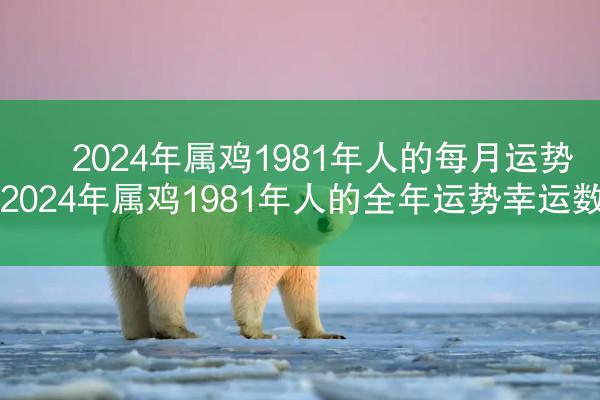2024年属鸡1981年人的每月运势 2024年属鸡1981年人的全年运势幸运数字