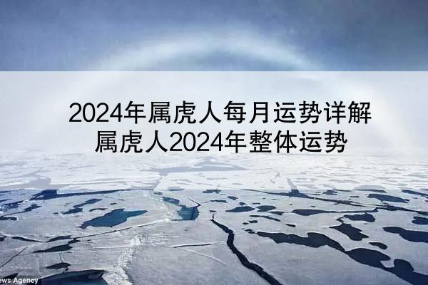 2024年属虎人每月运势详解 属虎人2024年整体运势
