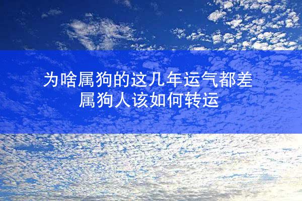 为啥属狗的这几年运气都差，属狗人该如何转运
