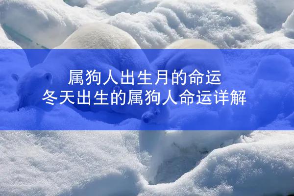 属狗人出生月的命运 冬天出生的属狗人命运详解