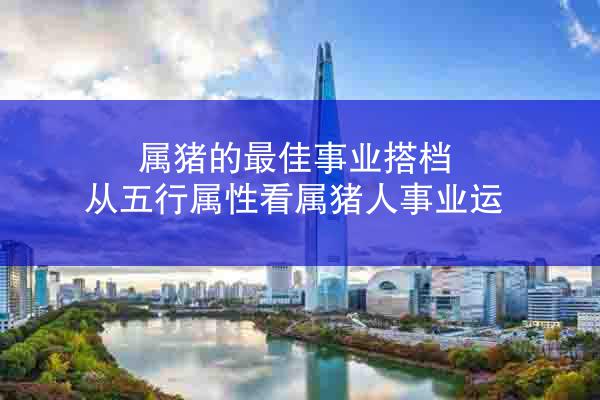 属猪的最佳事业搭档 从五行属性看属猪人事业运