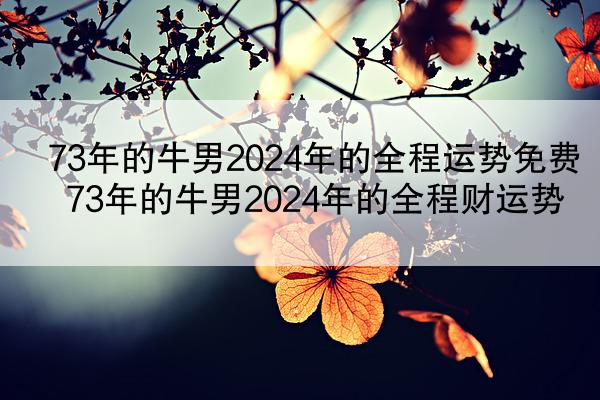 73年的牛男2024年的全程运势免费 73年的牛男2024年的全程财运势